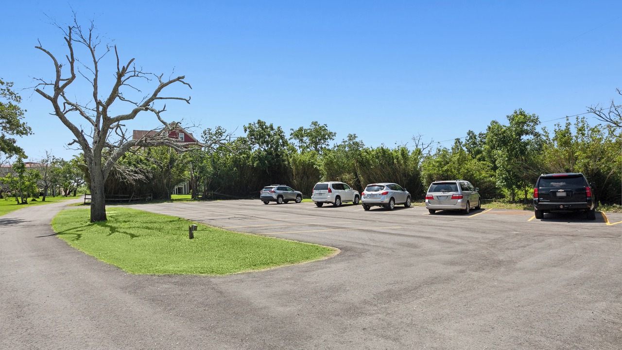 Photo of Outdoor in Lafitte