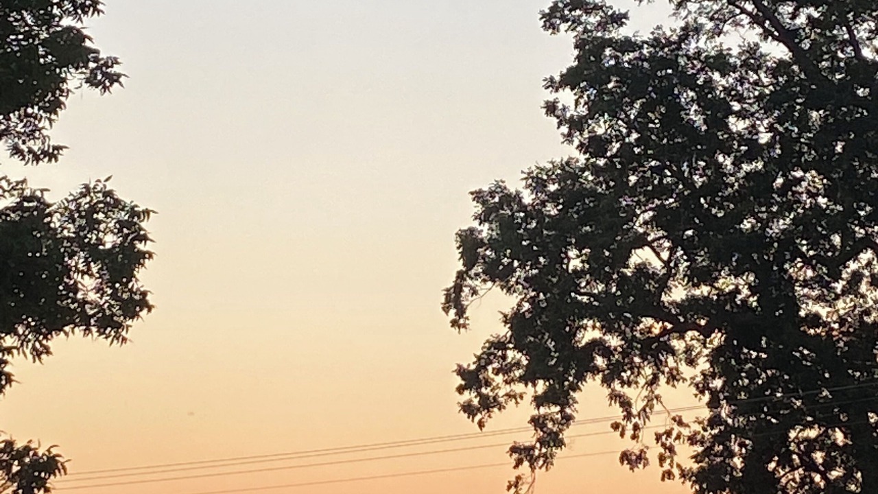 Photo of Outdoor in New Iberia