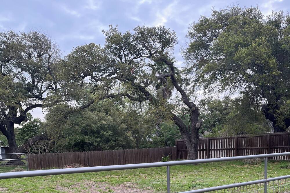 Photo of Outdoor in Rockport
