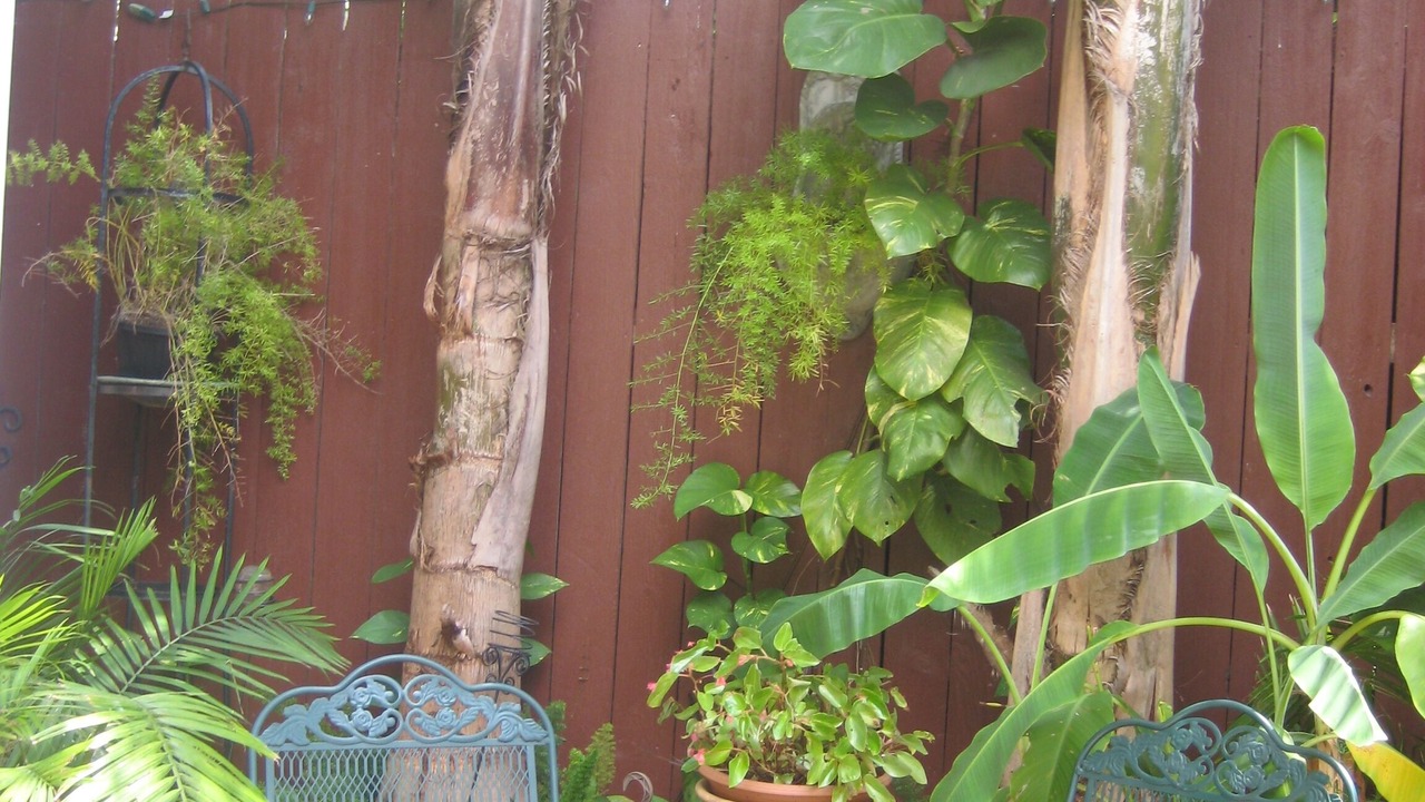 Photo of Outdoor in Carrollton