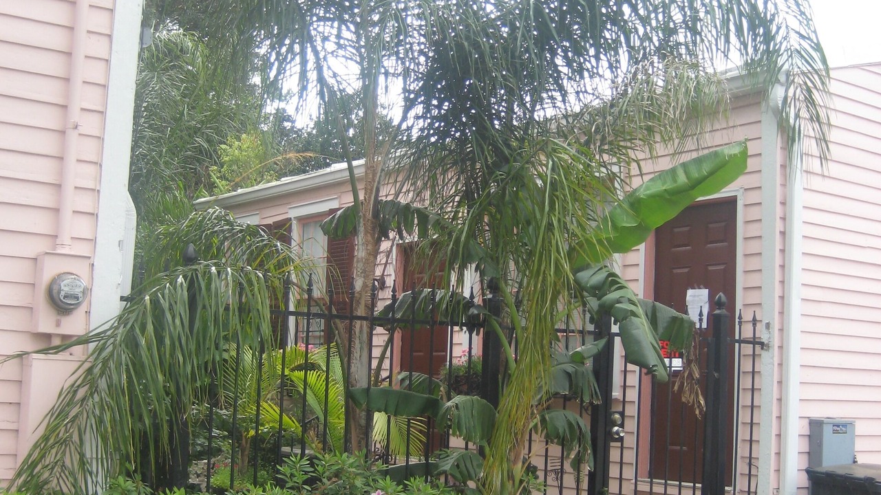 Photo of Outdoor in Carrollton