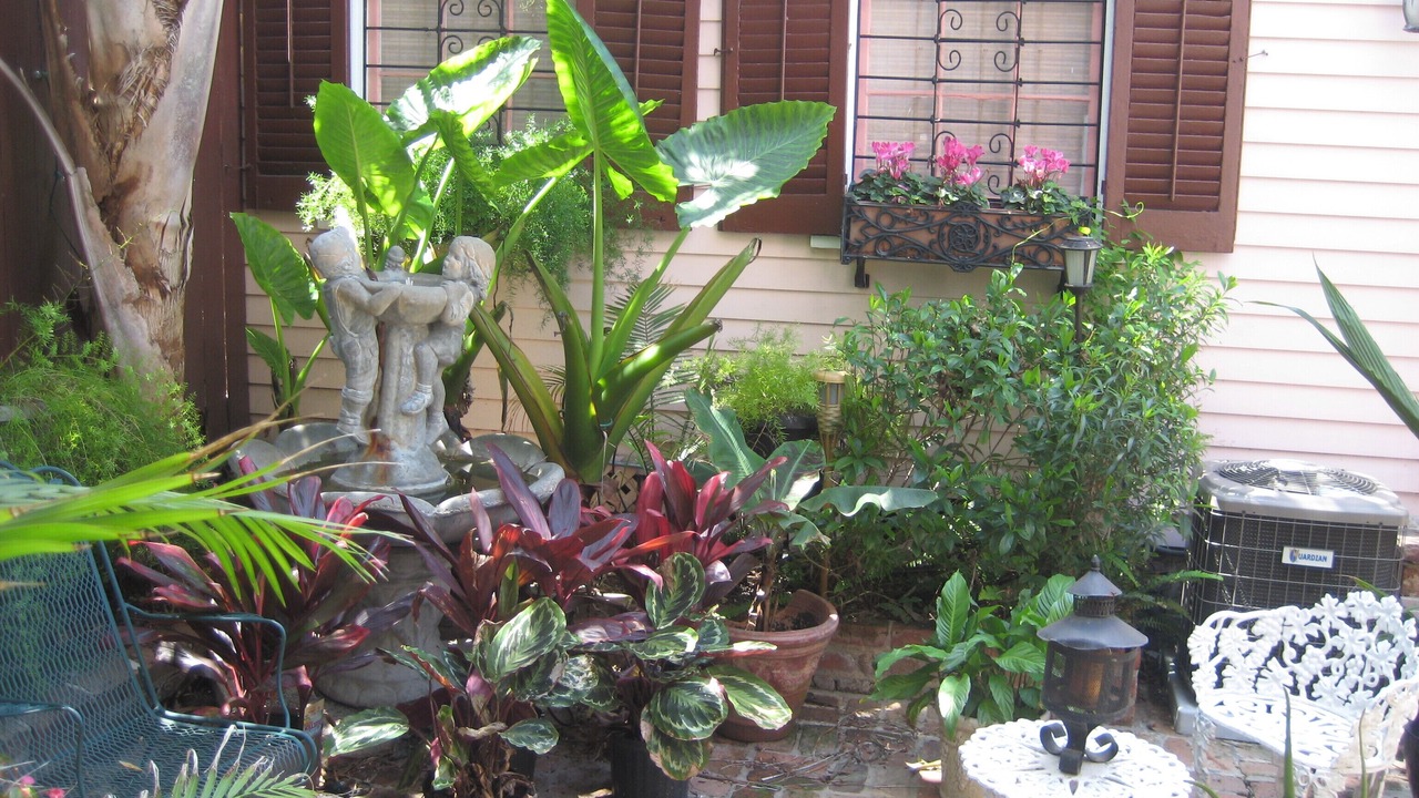 Photo of Outdoor in Carrollton
