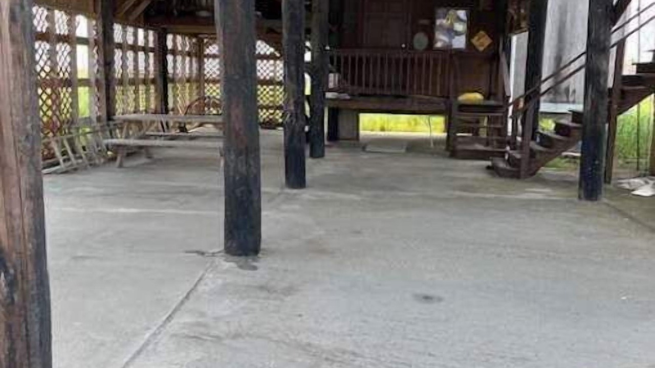 Photo of Outdoor in Cocodrie