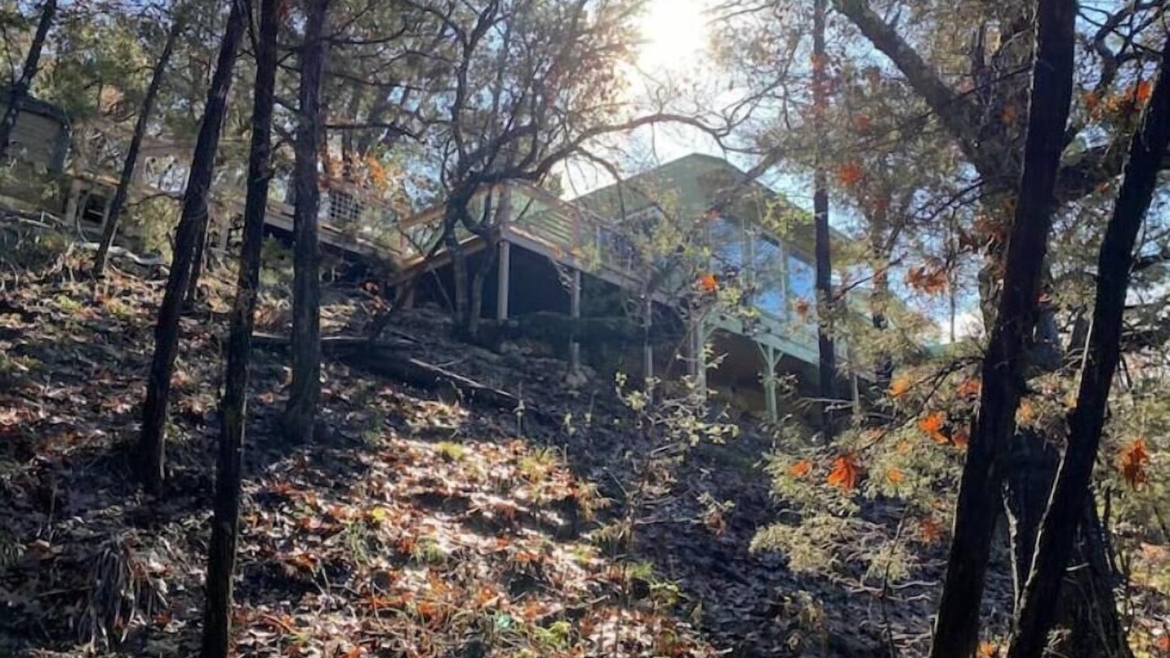 Photo of Others in Apache Shores