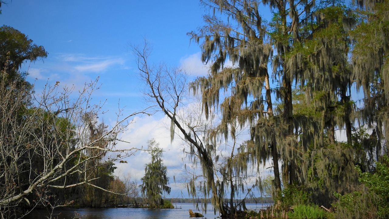 Photo of Outdoor in Morgan City