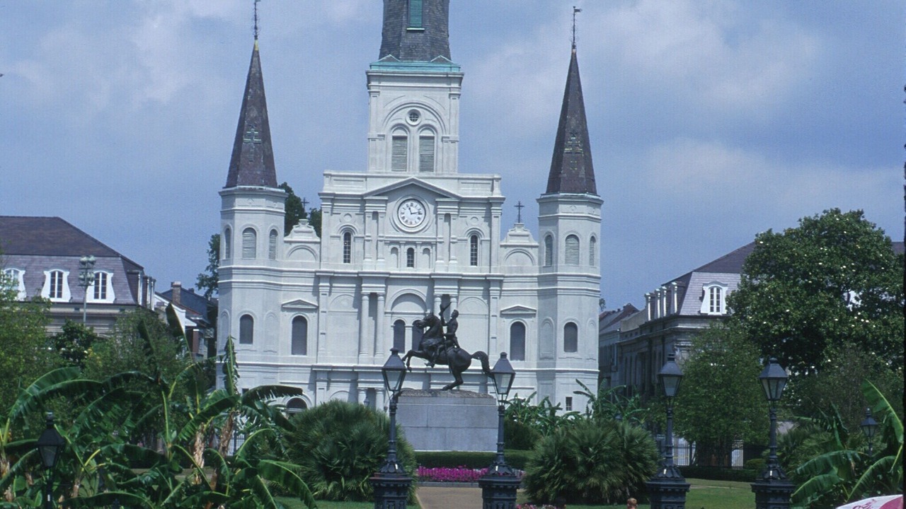 Photo of Others in Metairie