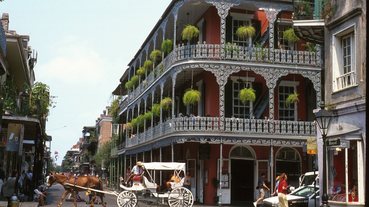 Photo of Others in Metairie