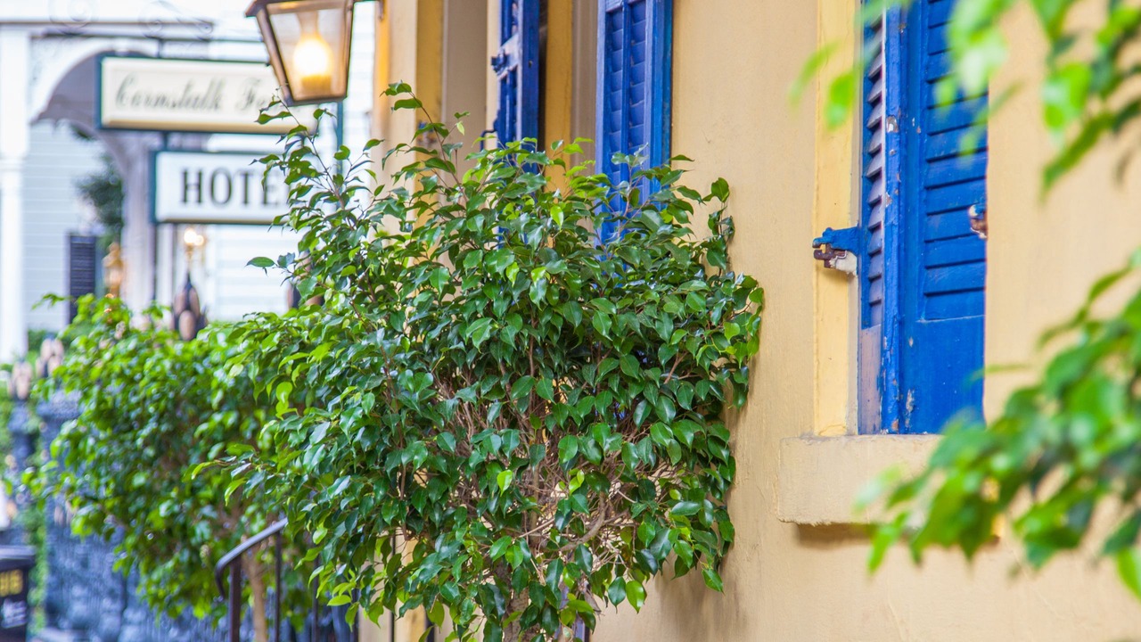 Photo of Outdoor in French Quarter