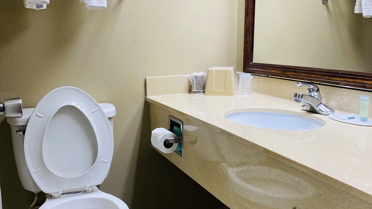 Photo of Bathroom in New Iberia
