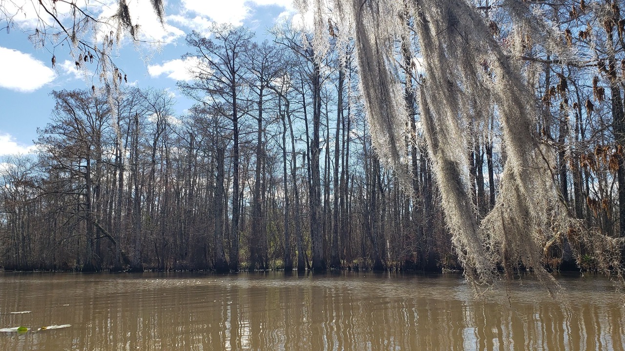 Photo of Outdoor in Maurepas