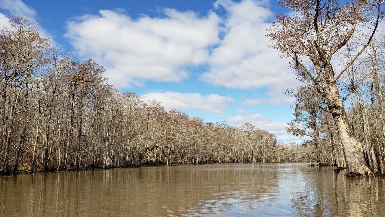 Photo of Outdoor in Maurepas
