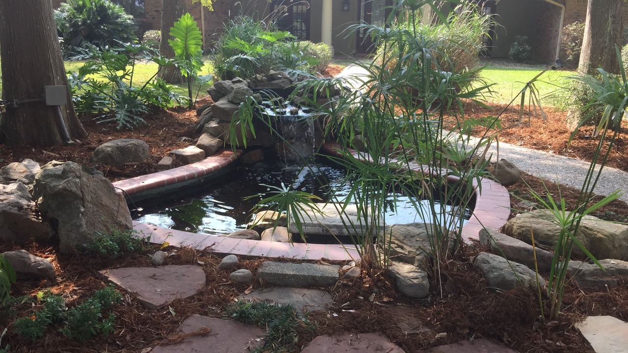 Photo of Outdoor in Youngsville