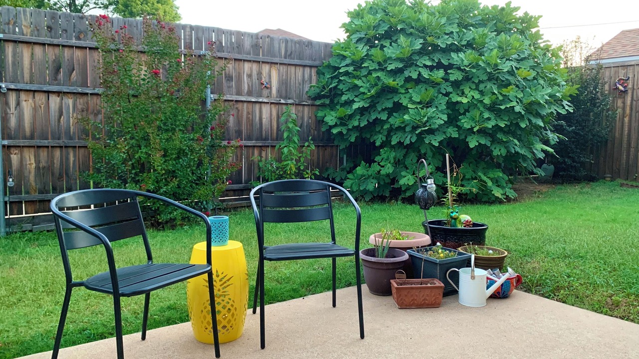 Photo of Outdoor in Ederville
