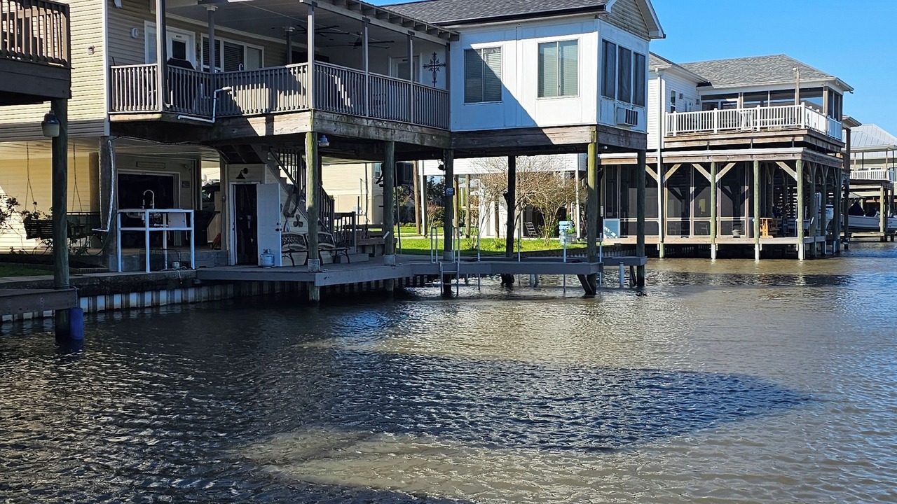 Photo of Outdoor in Barataria