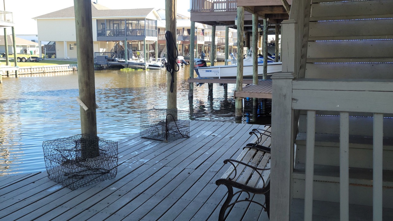 Photo of Outdoor in Barataria