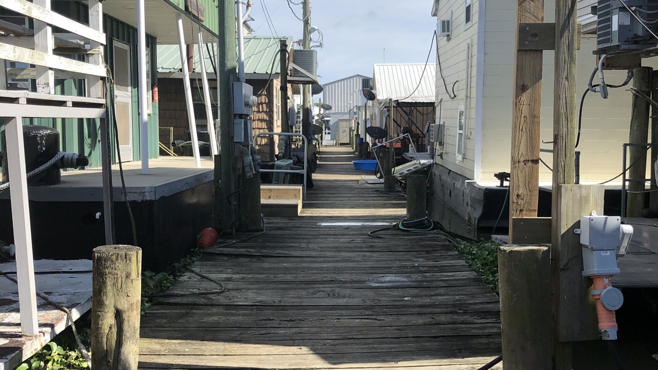 Photo of Outdoor in Venice