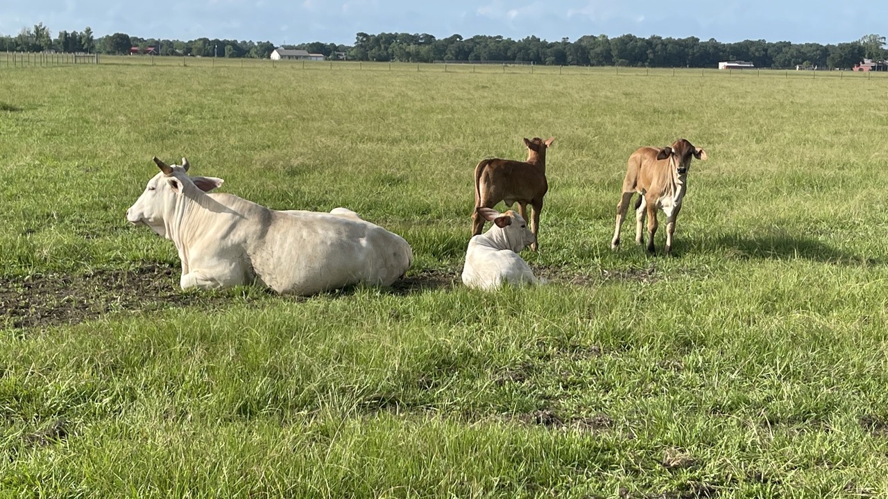 Photo of Others in Beaumont
