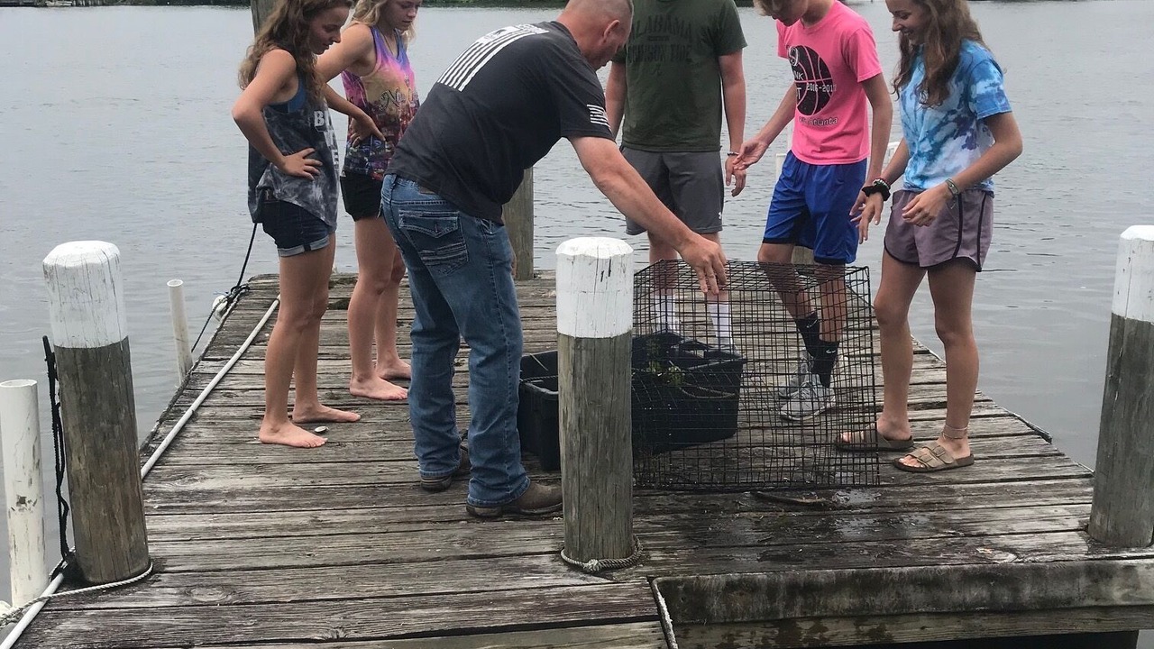 Photo of Others in Barataria