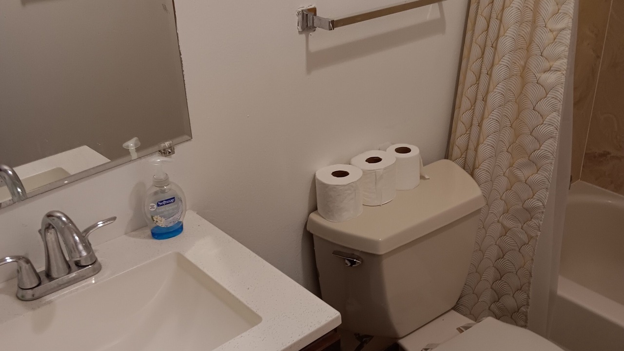 Photo of Bathroom in Algiers