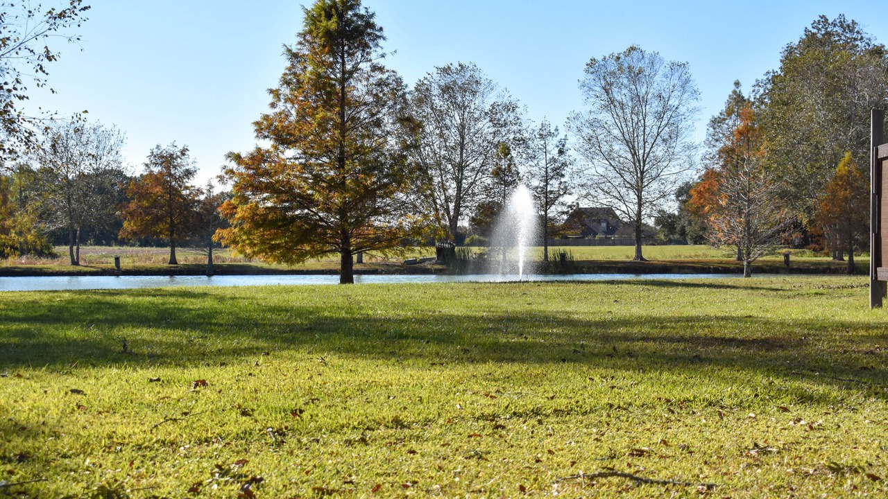 Photo of Outdoor in Youngsville