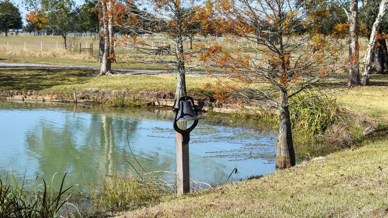 Photo of Others in Youngsville