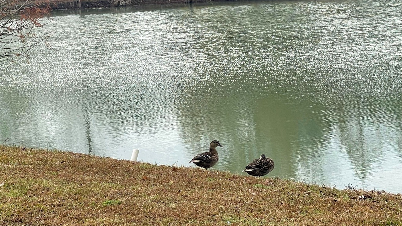 Photo of Others in Youngsville