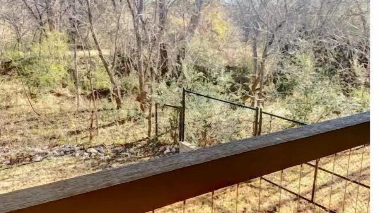 Photo of Patio Balcony in South Arlington