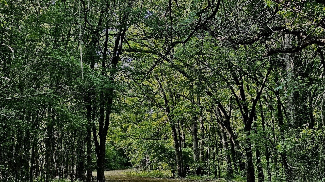 Photo of Others in Oak Point