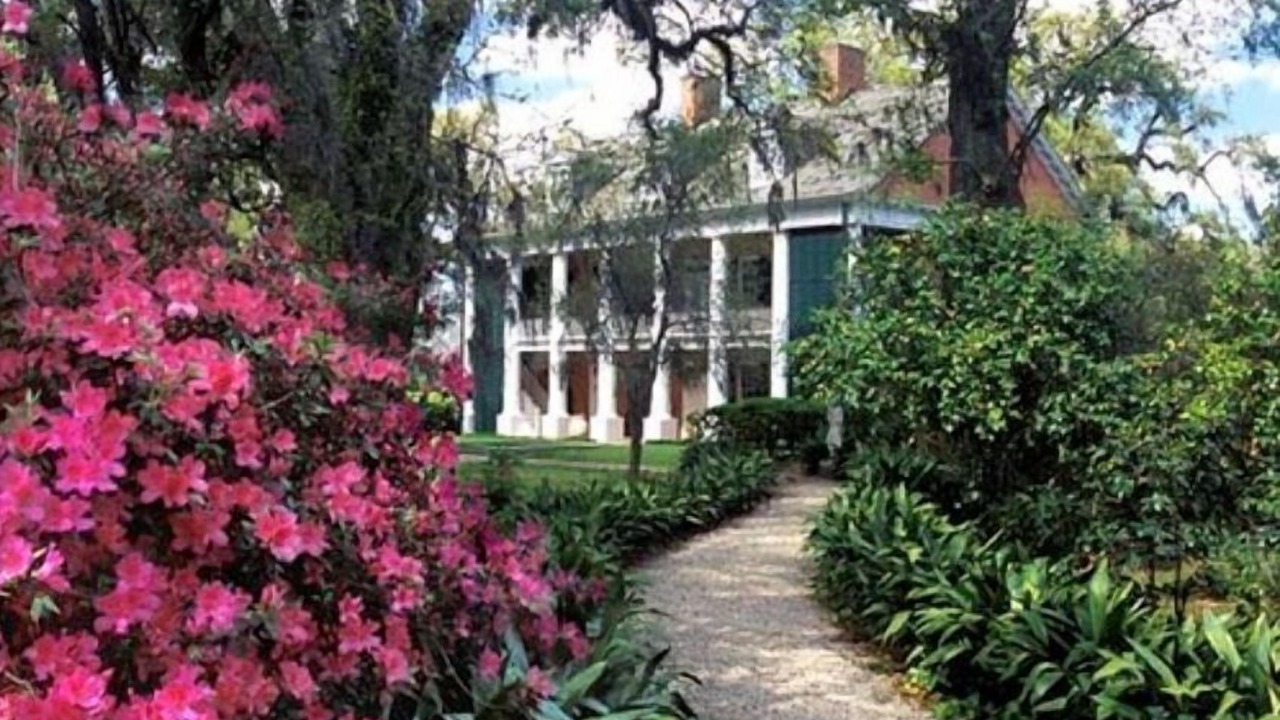 Photo of Outdoor in New Iberia