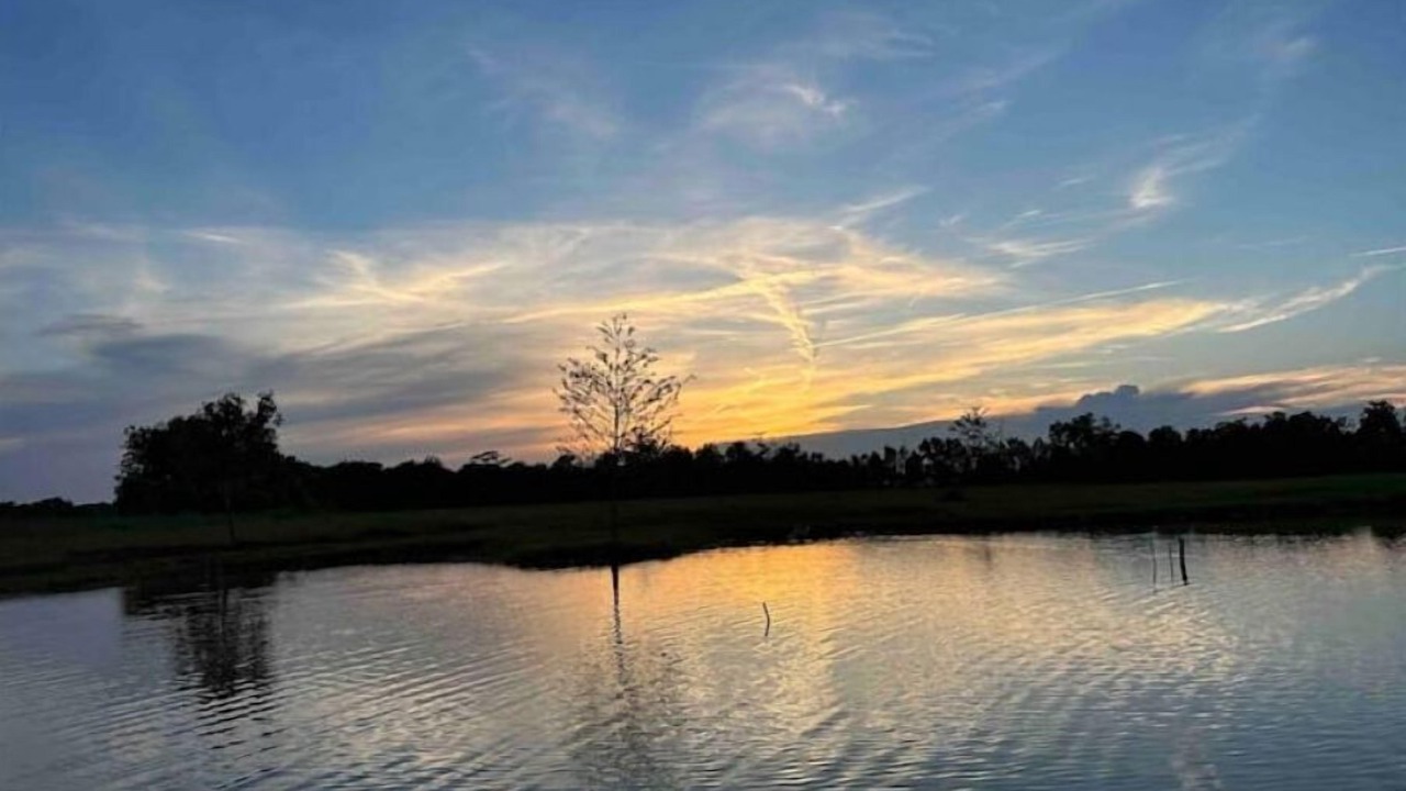 Photo of Outdoor in Gardner