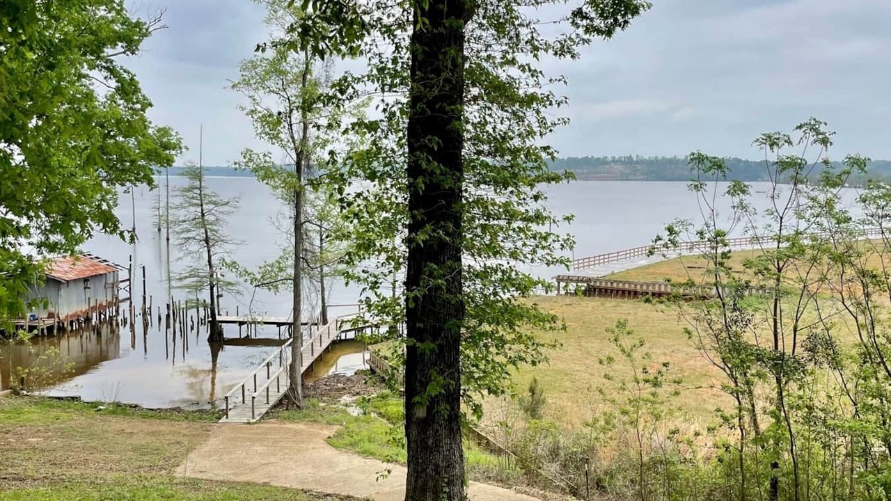 Photo of Outdoor in Farmerville