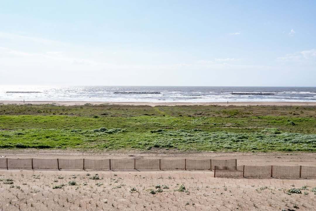 Photo of Others in Grand Isle