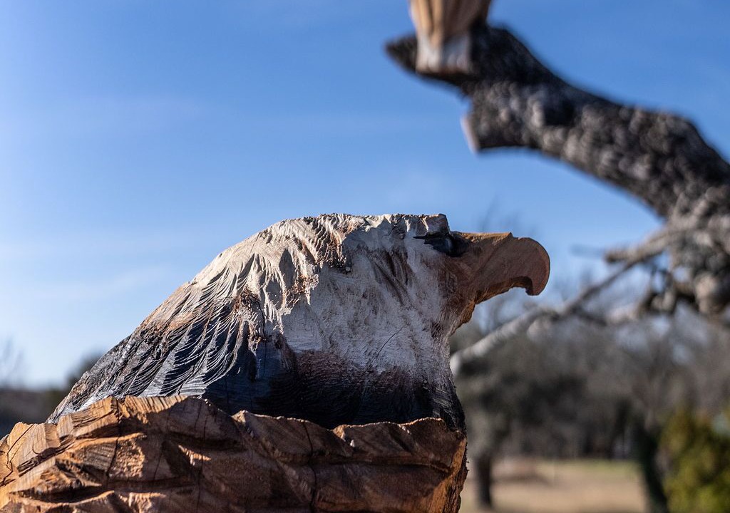 Photo of Outdoor in Decatur