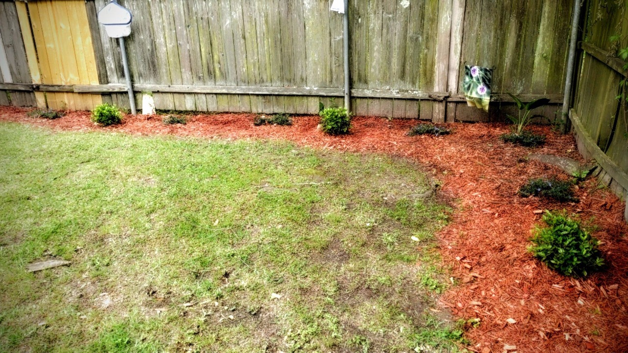 Photo of Outdoor in Opelousas