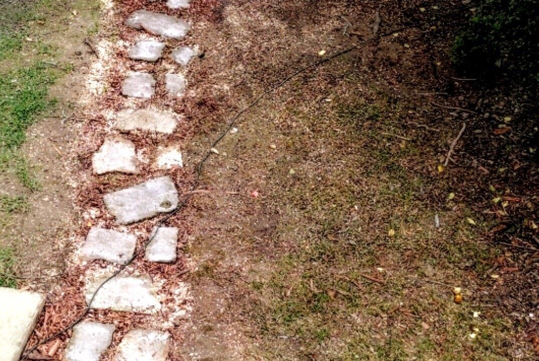 Photo of Outdoor in Opelousas
