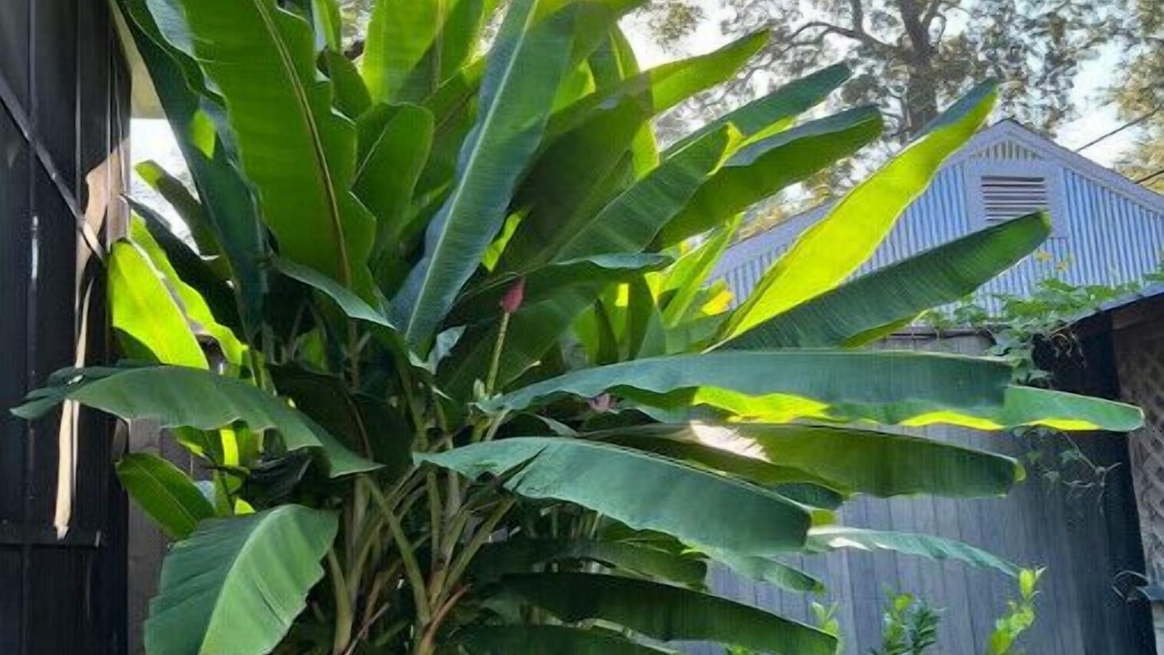 Photo of Outdoor in Broadmoor