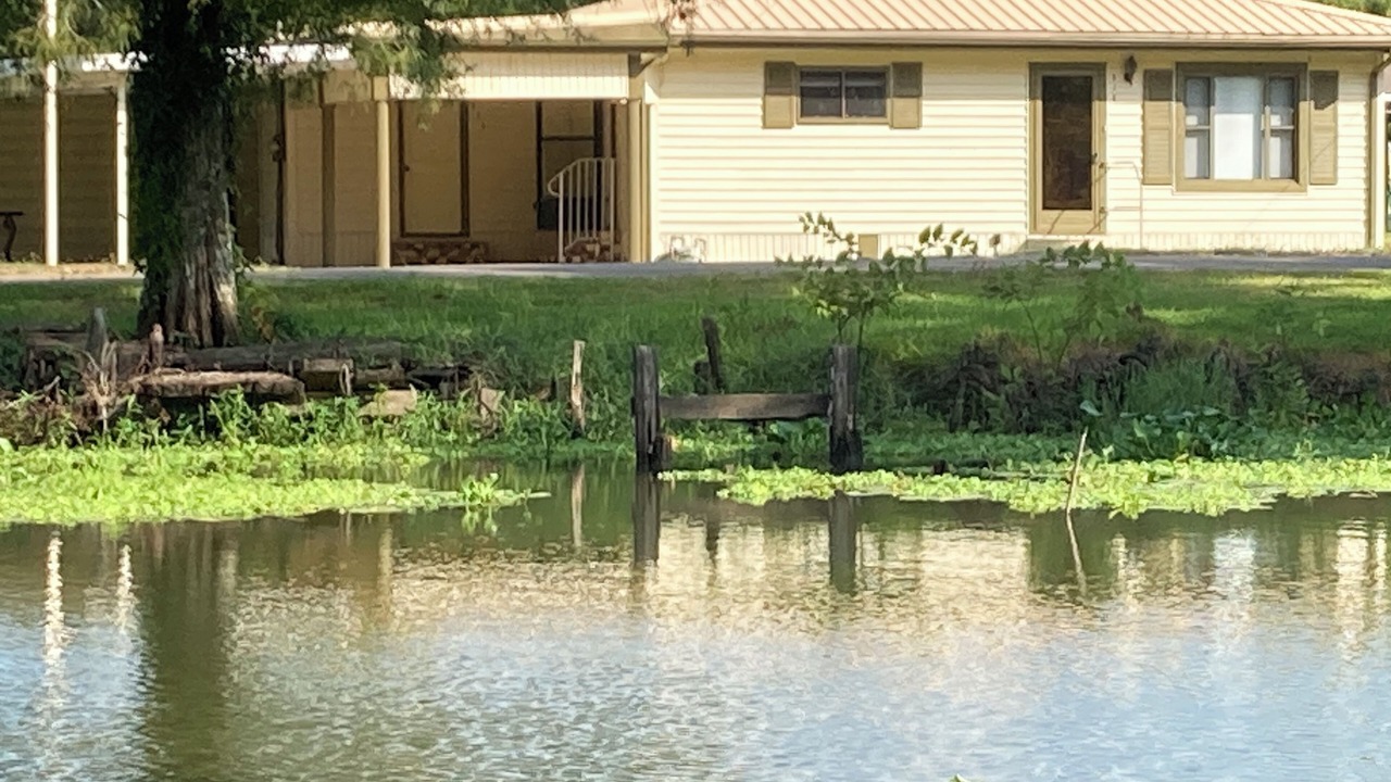 Photo of Others in Pierre Part