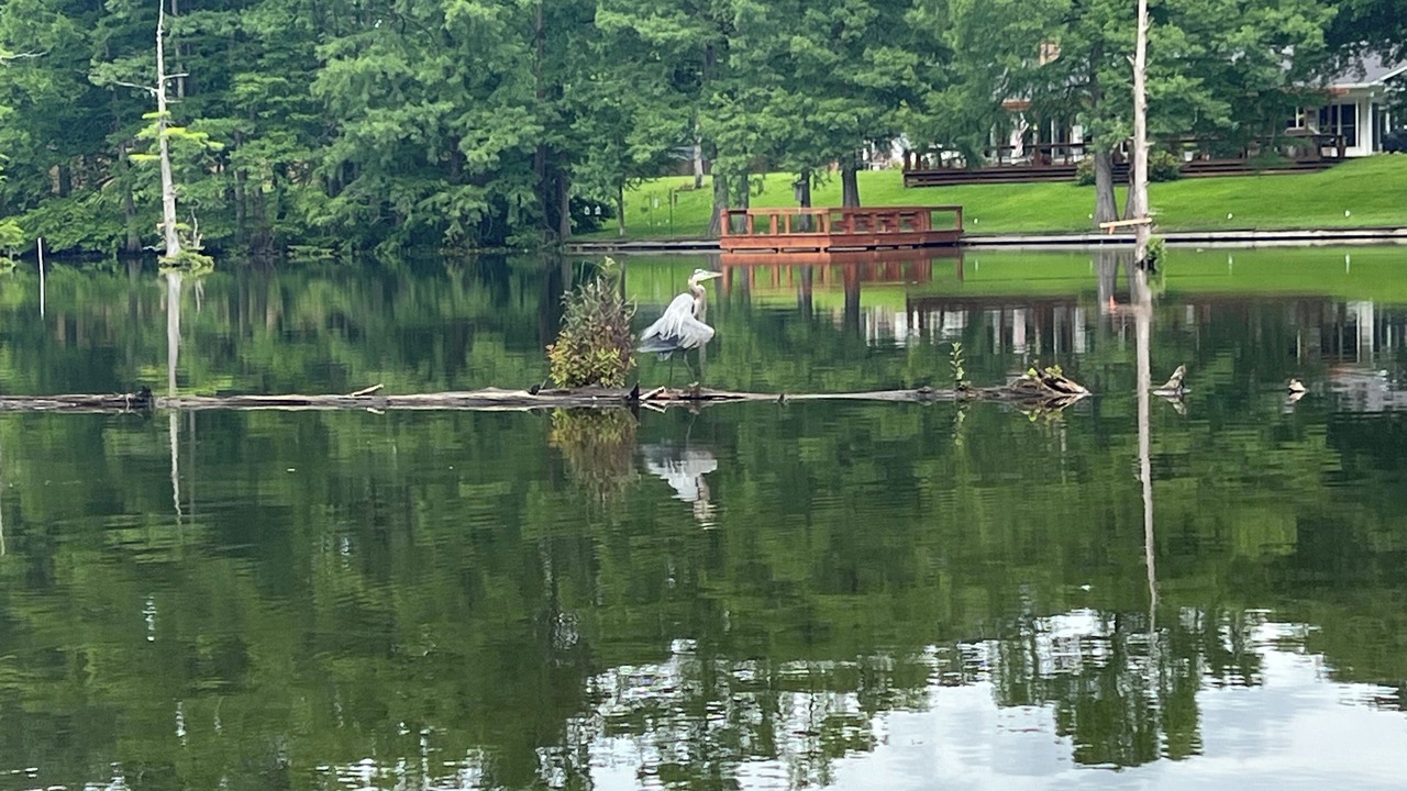 Photo of Outdoor in Monroe