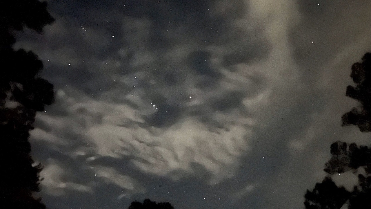 Photo of Others in McNeill
