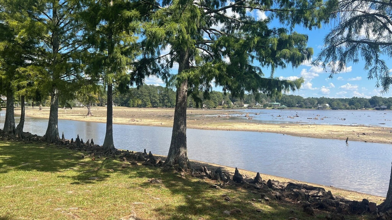 Photo of Others in McNeill
