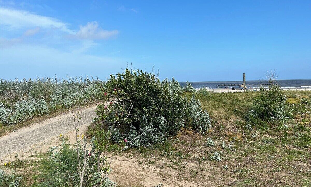 Photo of Others in Grand Isle