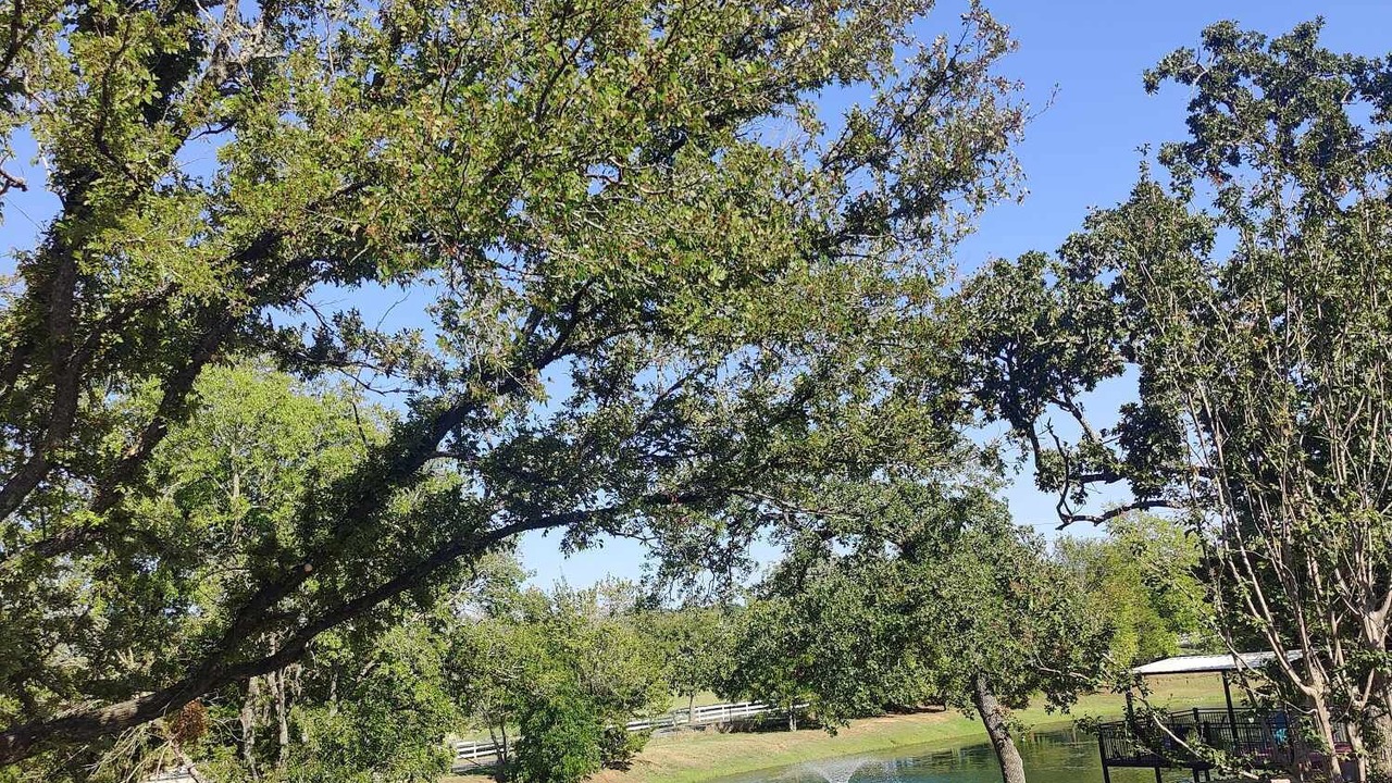 Photo of Outdoor in Burleson