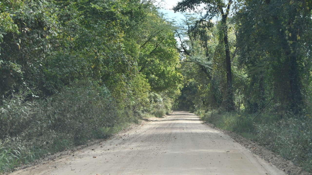 Photo of Others in Woodville