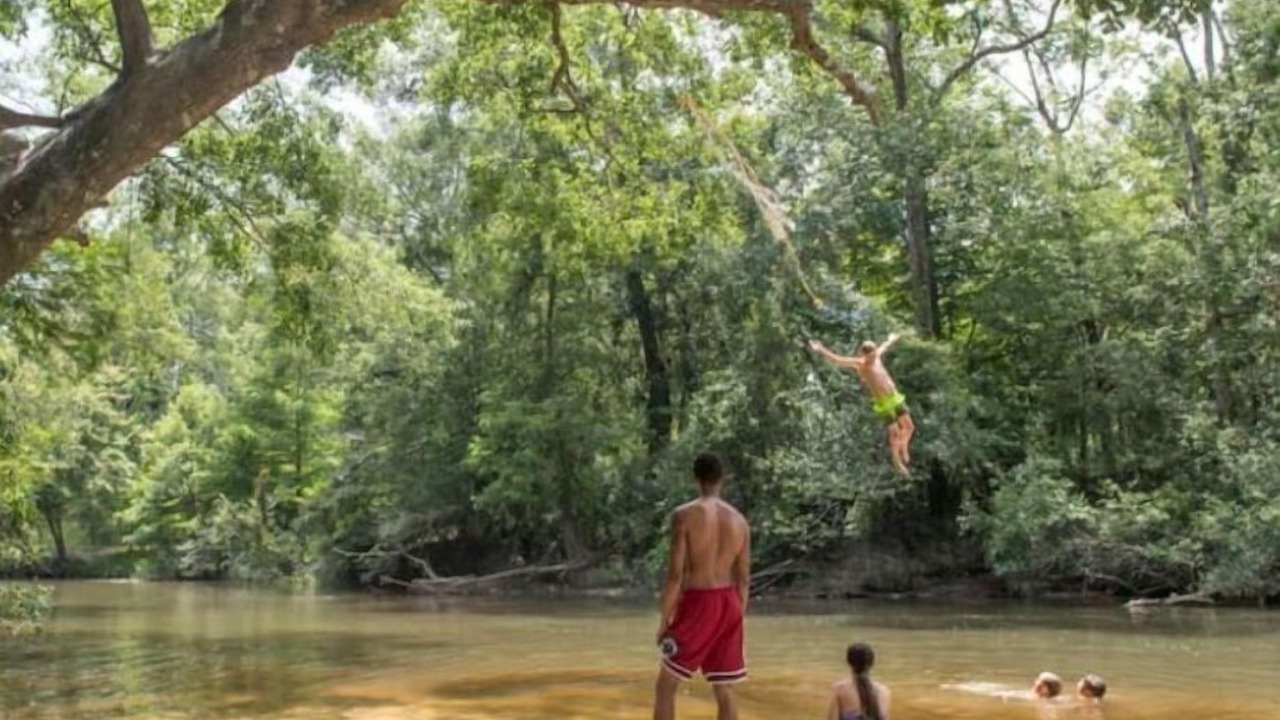 Photo of Others in Covington