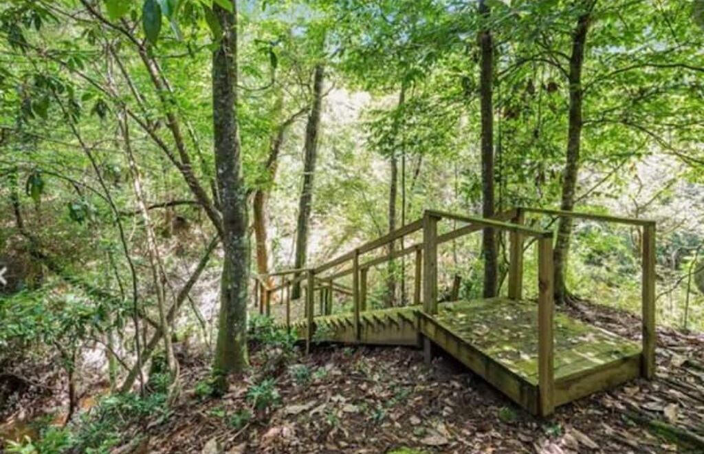 Photo of Outdoor in Covington