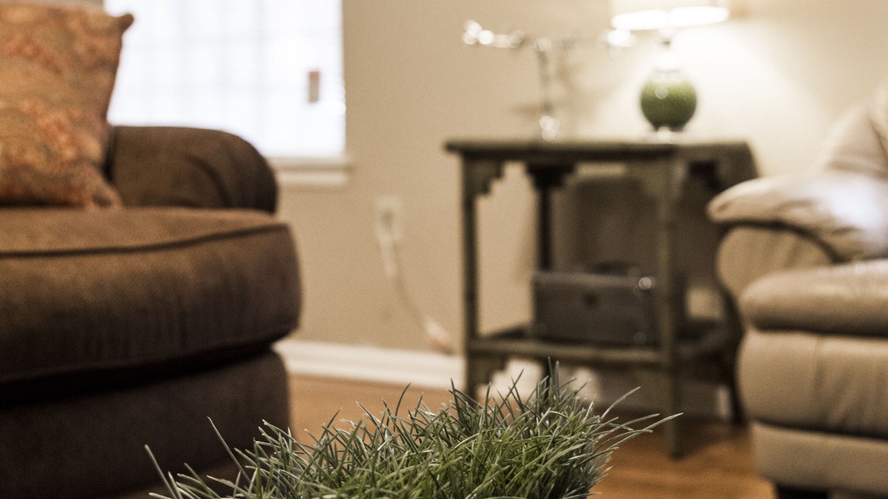 Photo of Livingroom in Shenandoah
