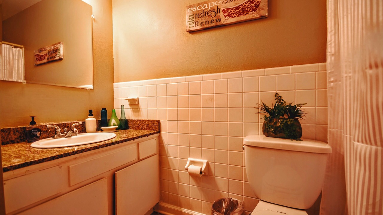 Photo of Bathroom in Shenandoah