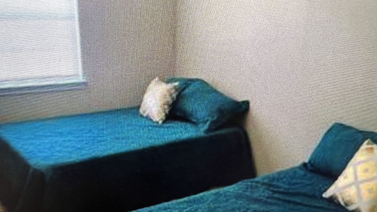 Photo of Bedroom in Beaumont