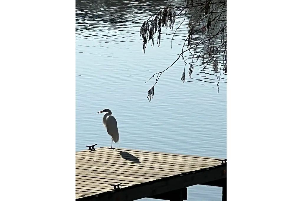 Photo of Others in Kingwood