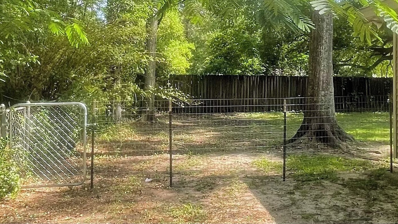 Photo of Outdoor in Covington